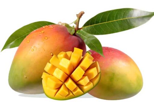 Mango Tommy - Libra