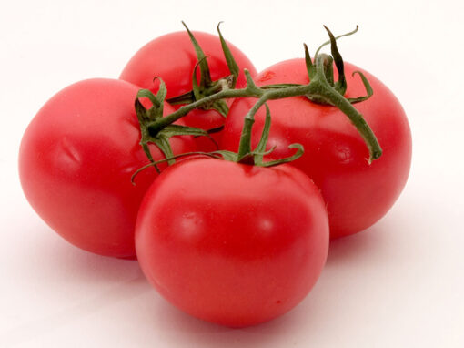 Tomate Rojo - Libra