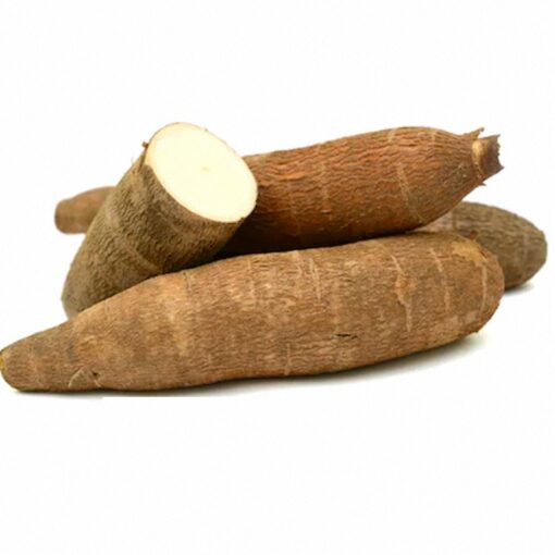 Yuca - Unidad