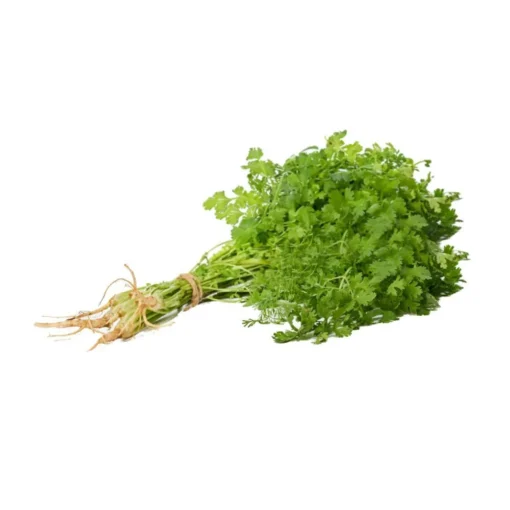 Cilantro - Libra
