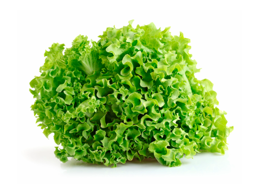 Lechuga Crespa - Unidad
