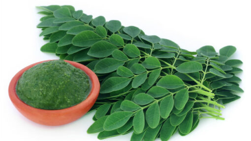 Moringa - Unidad