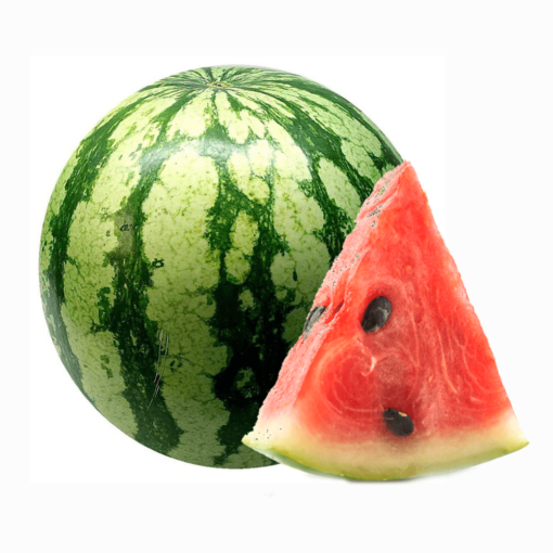 Patilla Baby - Unidad