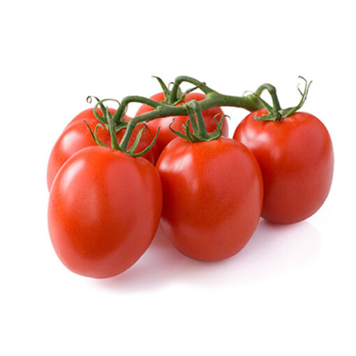 Tomate Chonto - Libra